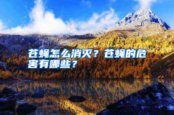 蒼蠅怎么消滅?蒼蠅的危害有哪些?