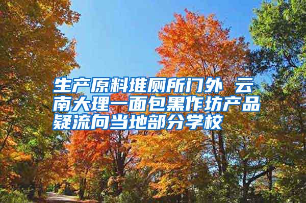 生產原料堆廁所門外 云南大理一面包黑作坊產品疑流向當地部分學校