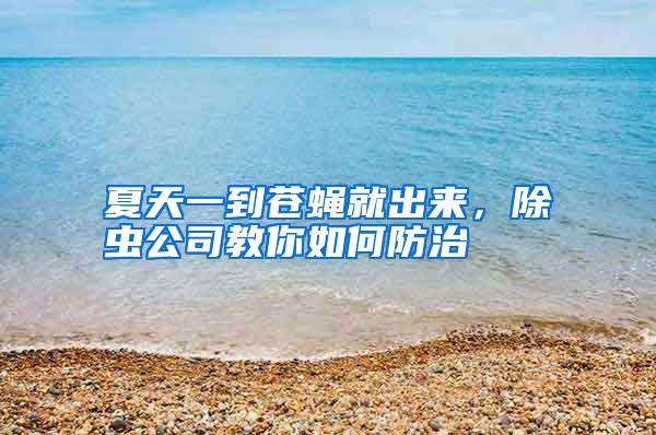 夏天一到蒼蠅就出來，除蟲公司教你如何防治