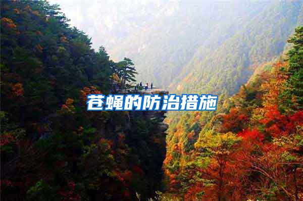 蒼蠅的防治措施