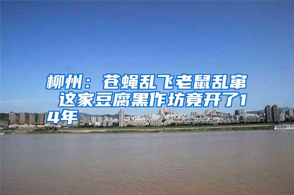柳州:蒼蠅亂飛老鼠亂竄 這家豆腐黑作坊竟開了14年