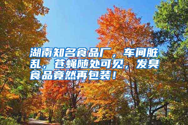 湖南知名食品廠，車間臟亂，蒼蠅隨處可見，發臭食品竟然再包裝！