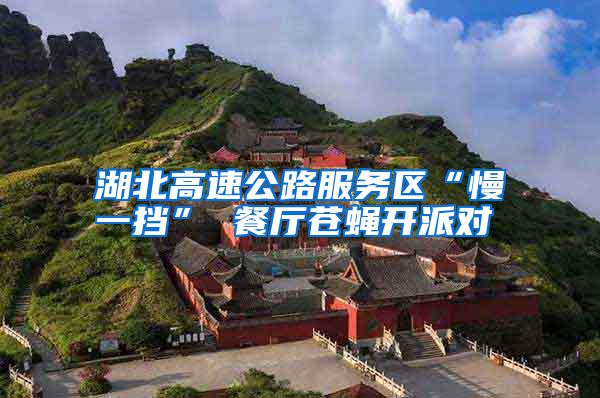 湖北高速公路服務(wù)區(qū)“慢一擋” 餐廳蒼蠅開(kāi)派對(duì)