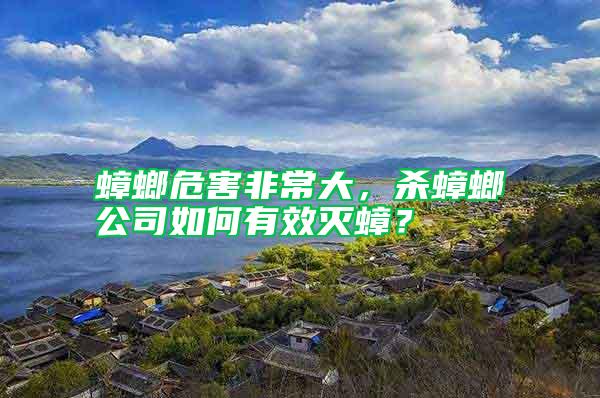 蟑螂危害非常大，殺蟑螂公司如何有效滅蟑？