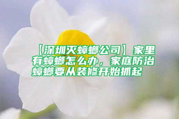 【深圳滅蟑螂公司】家里有蟑螂怎么辦，家庭防治蟑螂要從裝修開始抓起