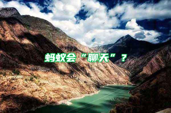 螞蟻會“聊天”?