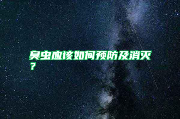 臭蟲應該如何預防及消滅？