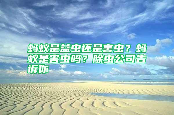 螞蟻是益蟲還是害蟲？螞蟻是害蟲嗎？除蟲公司告訴你