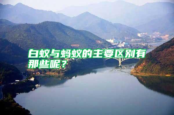 白蟻與螞蟻的主要區別有那些呢?