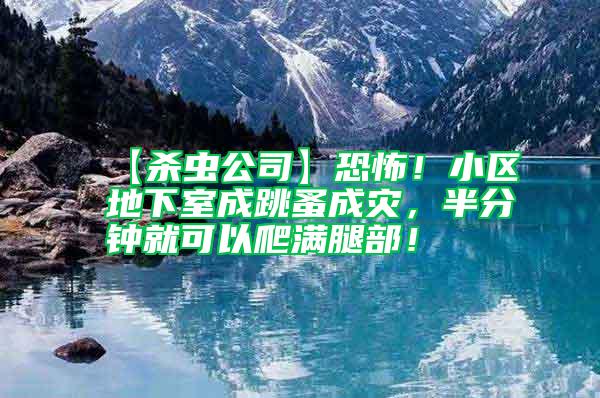 【殺蟲公司】恐怖!小區地下室成跳蚤成災,半分鐘就可以爬滿腿部!