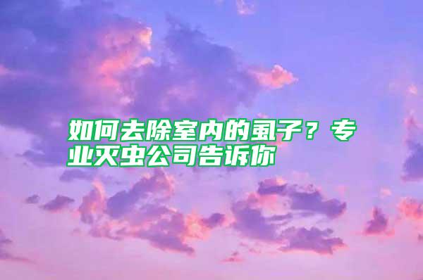如何去除室內的虱子?專業滅蟲公司告訴你