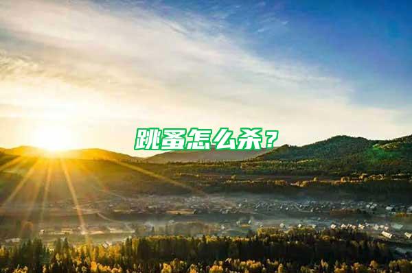 跳蚤怎么殺？