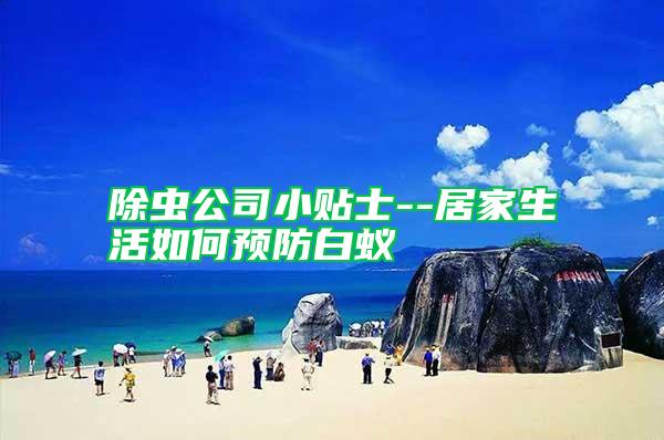 除蟲公司小貼士--居家生活如何預防白蟻