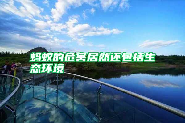 螞蟻的危害居然還包括生態環境