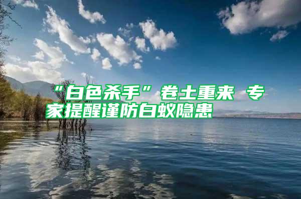 “白色殺手”卷土重來 專家提醒謹防白蟻隱患