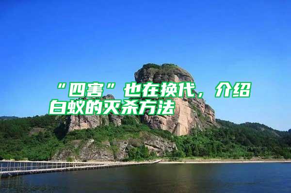 “四害”也在換代，介紹白蟻的滅殺方法