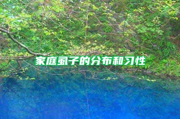 家庭虱子的分布和習(xí)性