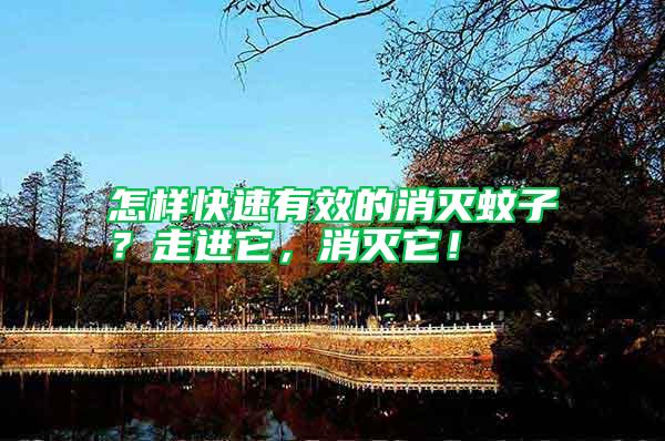 怎樣快速有效的消滅蚊子?走進它,消滅它!
