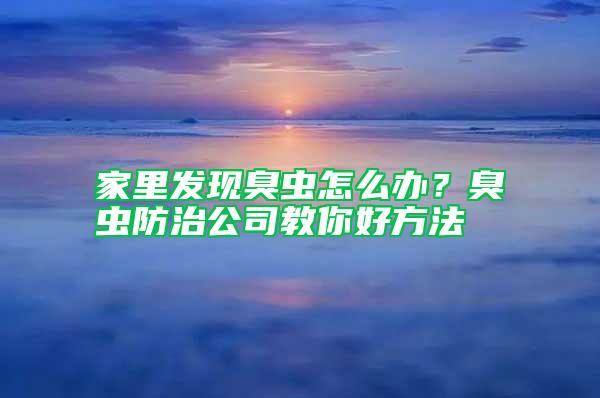 家里發現臭蟲怎么辦？臭蟲防治公司教你好方法