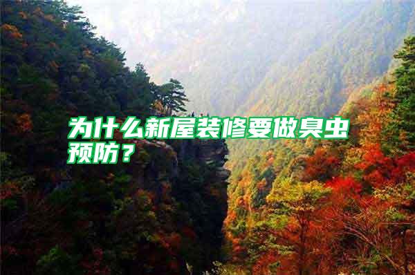 為什么新屋裝修要做臭蟲預防?