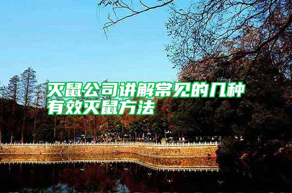 滅鼠公司講解常見(jiàn)的幾種有效滅鼠方法