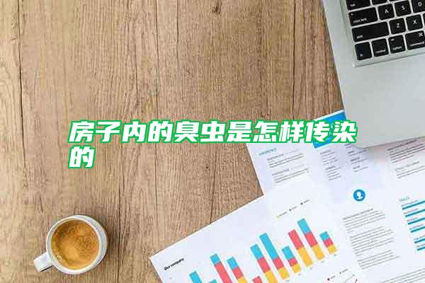 房子內(nèi)的臭蟲(chóng)是怎樣傳染的