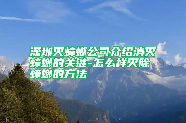 深圳滅蟑螂公司介紹消滅蟑螂的關鍵-怎么樣滅除蟑螂的方法