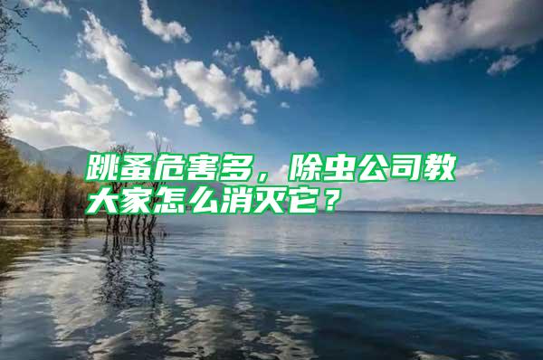 跳蚤危害多，除蟲公司教大家怎么消滅它？