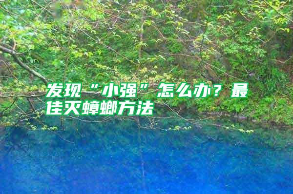 發現“小強”怎么辦？最佳滅蟑螂方法