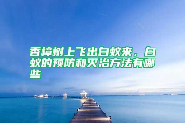 香樟樹(shù)上飛出白蟻來(lái)，白蟻的預(yù)防和滅治方法有哪些