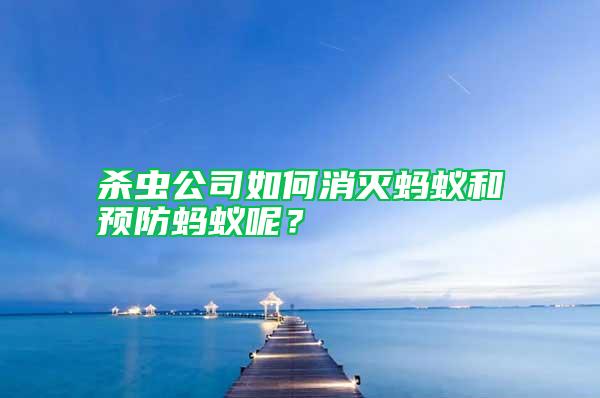 殺蟲公司如何消滅螞蟻和預(yù)防螞蟻呢？