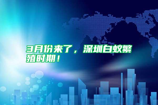 3月份來了，深圳白蟻繁殖時期！