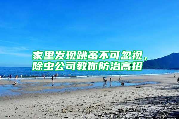 家里發(fā)現(xiàn)跳蚤不可忽視，除蟲公司教你防治高招