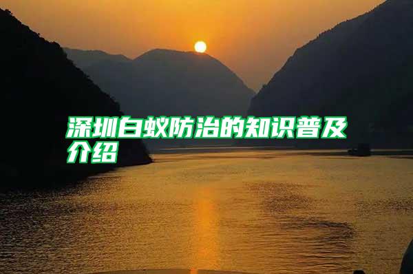 深圳白蟻防治的知識(shí)普及介紹