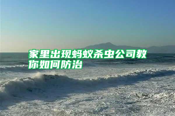 家里出現螞蟻殺蟲公司教你如何防治