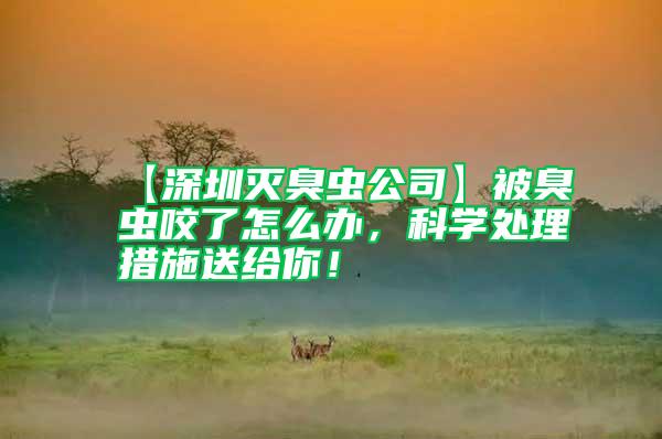 【深圳滅臭蟲公司】被臭蟲咬了怎么辦，科學處理措施送給你！