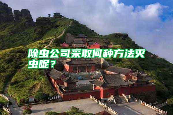 除蟲公司采取何種方法滅蟲呢？