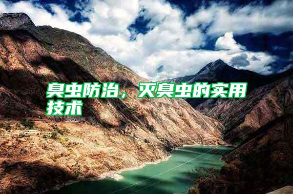 臭蟲防治，滅臭蟲的實用技術