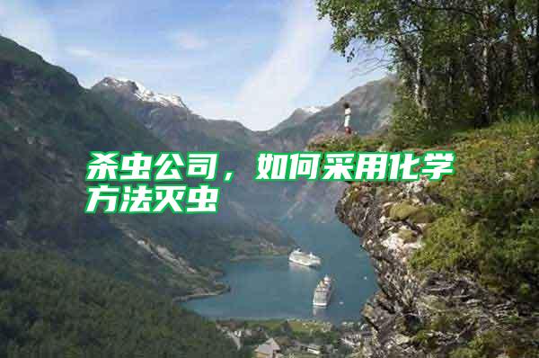 殺蟲公司，如何采用化學方法滅蟲