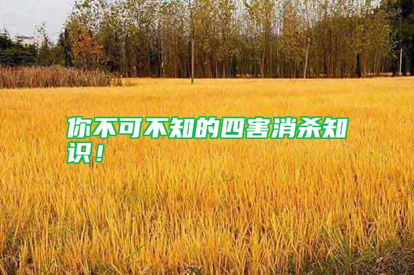你不可不知的四害消殺知識！