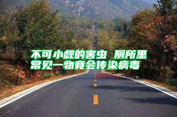 不可小覷的害蟲 廁所里常見一物竟會(huì)傳染病毒