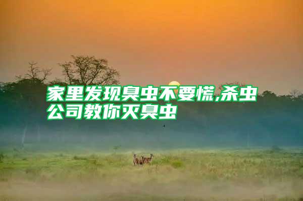 家里發現臭蟲不要慌,殺蟲公司教你滅臭蟲