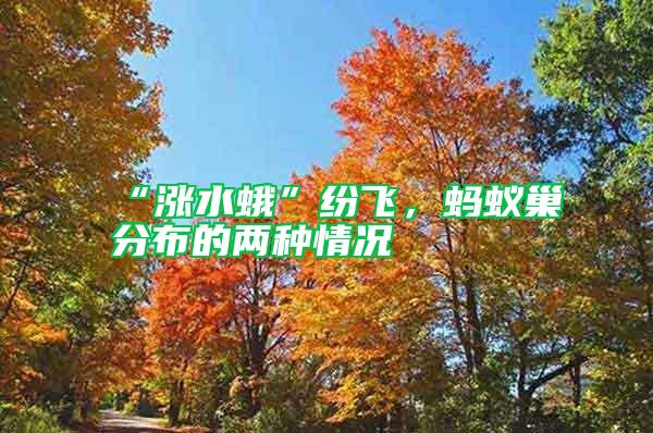 “漲水蛾”紛飛，螞蟻巢分布的兩種情況