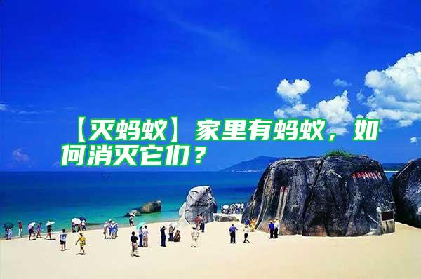 【滅螞蟻】家里有螞蟻，如何消滅它們？