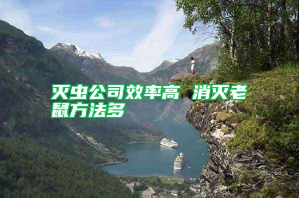 滅蟲(chóng)公司效率高 消滅老鼠方法多