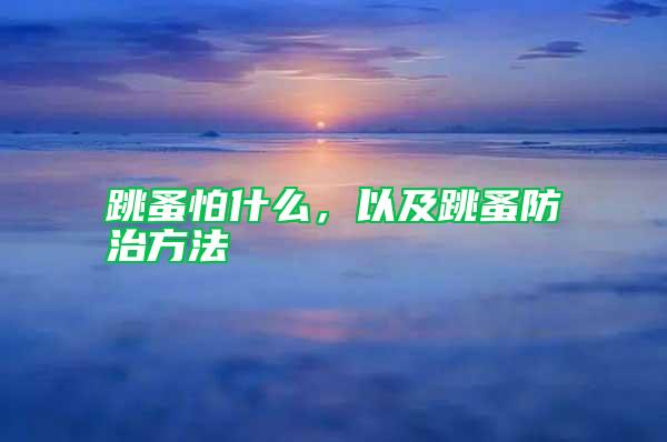 跳蚤怕什么,以及跳蚤防治方法