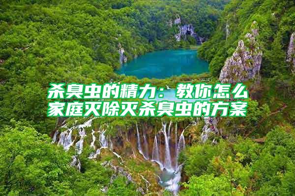 殺臭蟲的精力：教你怎么家庭滅除滅殺臭蟲的方案