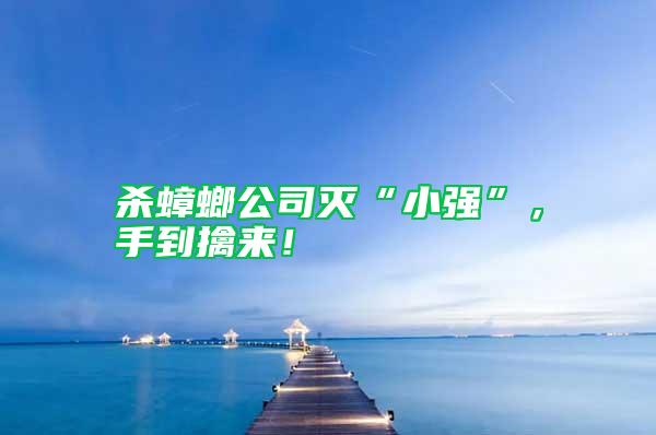 殺蟑螂公司滅“小強(qiáng)”,手到擒來!