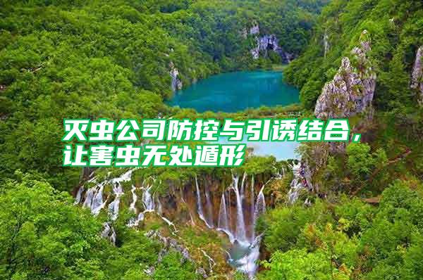 滅蟲公司防控與引誘結合,讓害蟲無處遁形