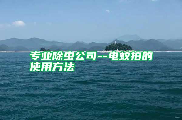 專業(yè)除蟲公司--電蚊拍的使用方法